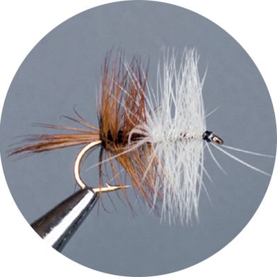 Crown Serie, Standard Dry Fly, Bivisible Brown
