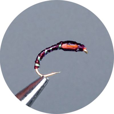 Ninfe Coregone Crown Serie Flexi Floss Claret