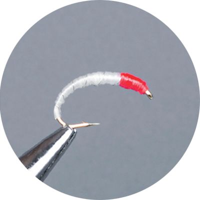 Crown Serie, Coregone Nymph, O.D. Scarlet