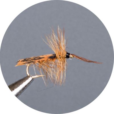 Wulf, Caddis &amp; Sedge, Light Roof W Sedge Crown