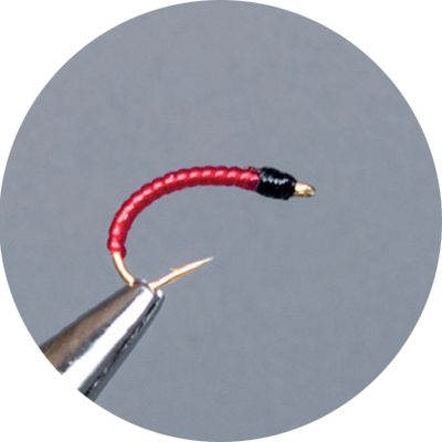 Ninfe Coregone Crown Serie Red
