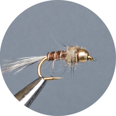 Crown Serie, Brass Nymph, Phaesant Tail