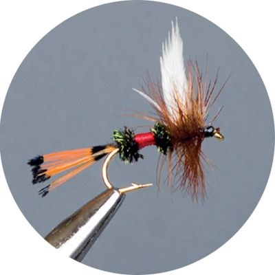 Paracadute Crown Serie Royal Coachman