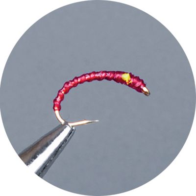 Crown Serie, Coregone Nymph, Glow Red