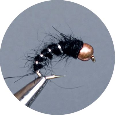 Crown Serie, Tungsten Standard Nymph, Black Bug