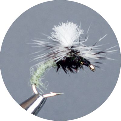 Crown Serie, Parachute​, Wovenklink Olive