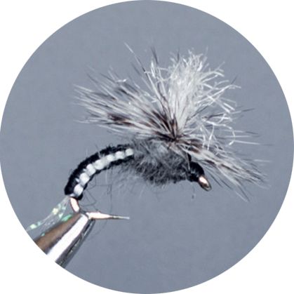 Crown Serie, Parachute​, Wovenklink Black