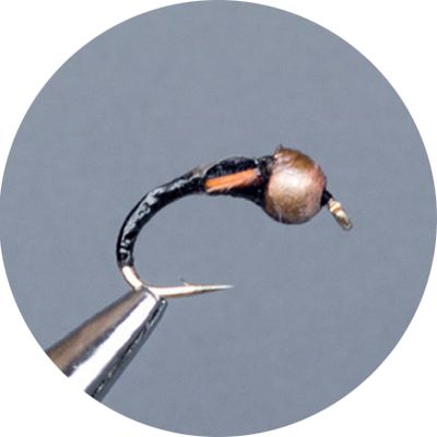 Crown Serie, Tungsten Standard Nymph, Fb Coral Thorax