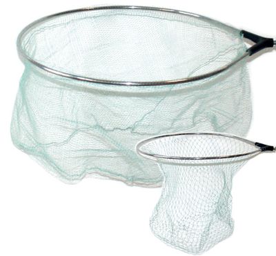 TESTA GUADINO MONOFILO 2