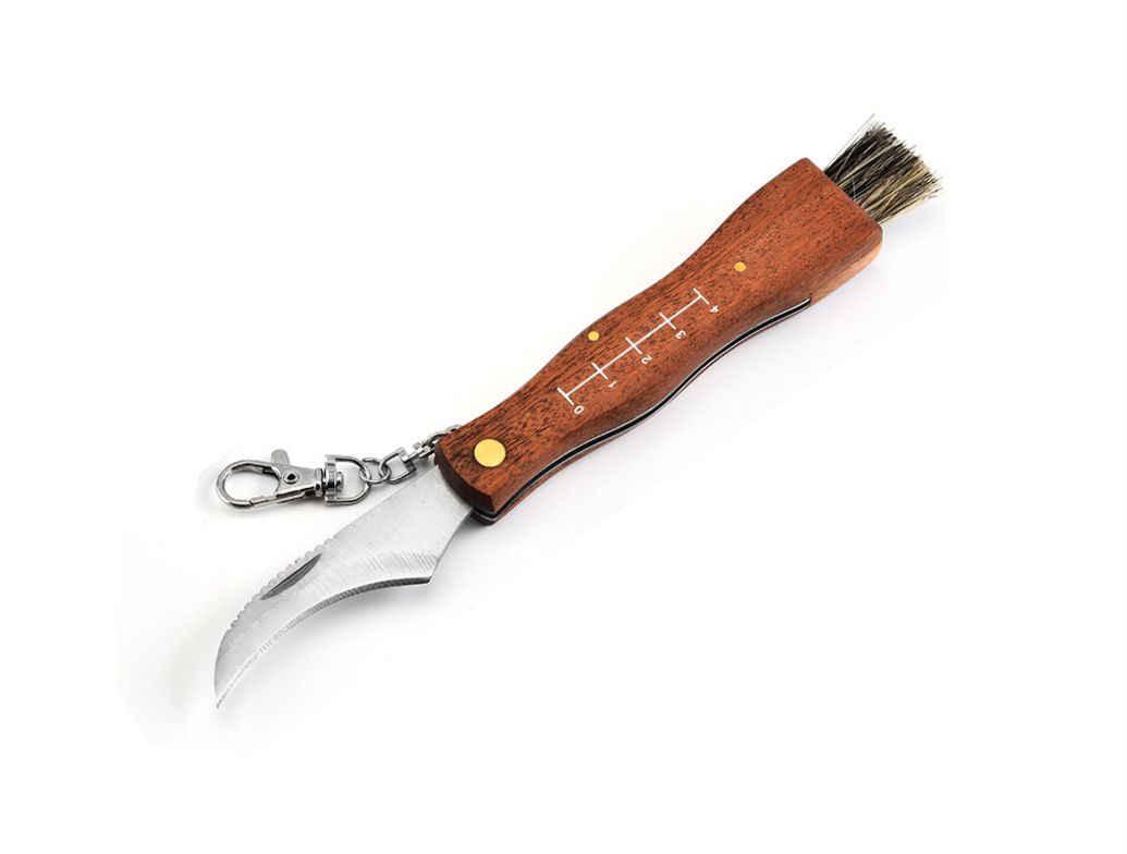COLTELLO PER FUNGHI