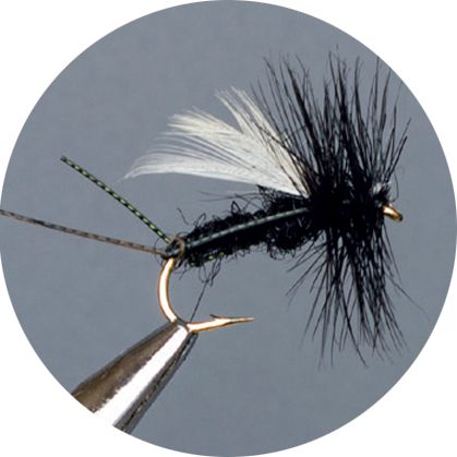 CROWN Serie, STANDARD DRY FLY,BLACK HAWTHORN GNAT