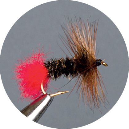 CROWN Serie, STANDARD DRY FLY, RED TAG