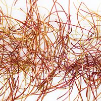 CROWN Serie, RUBBER HACKLES​, Colore: Brown/Olive