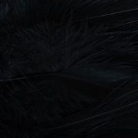 CROWN Serie, SADDLE SELECTION​ HACKLE, Colore: Black
