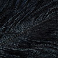 CROWN Serie, STRUZZO SELECT PLUME, Colore: Black