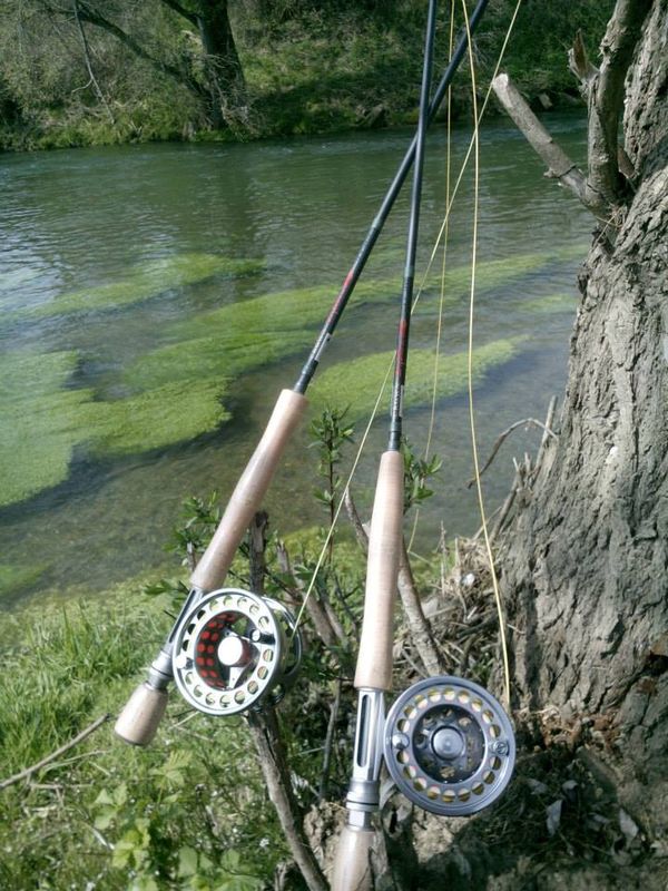 Quali sono le 5 migliori canne da pesca qualità prezzo per iniziare a Quali sono le 5 migliori canne da pesca qualità prezzo per iniziare a