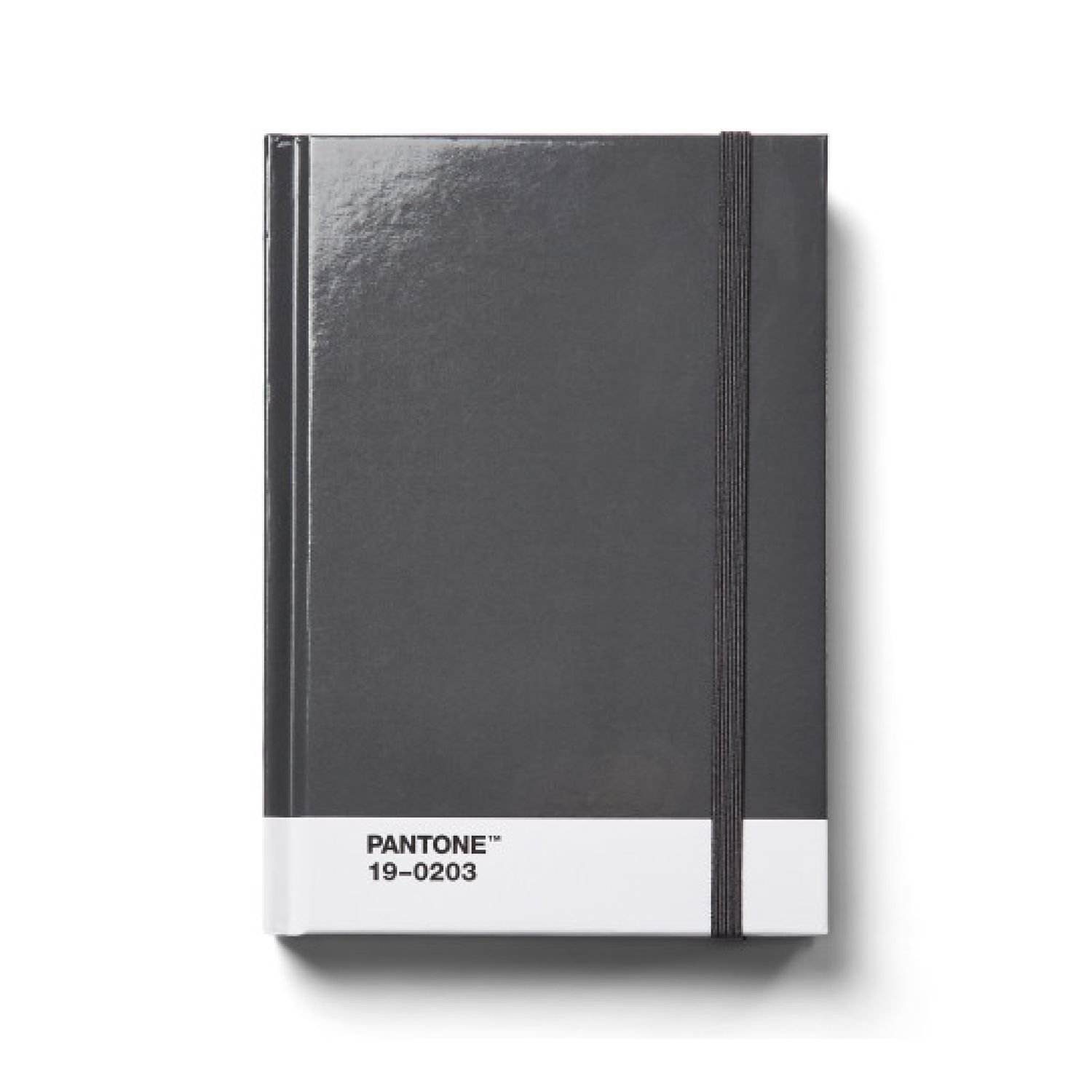 Grey Dotted Pantone Notebook