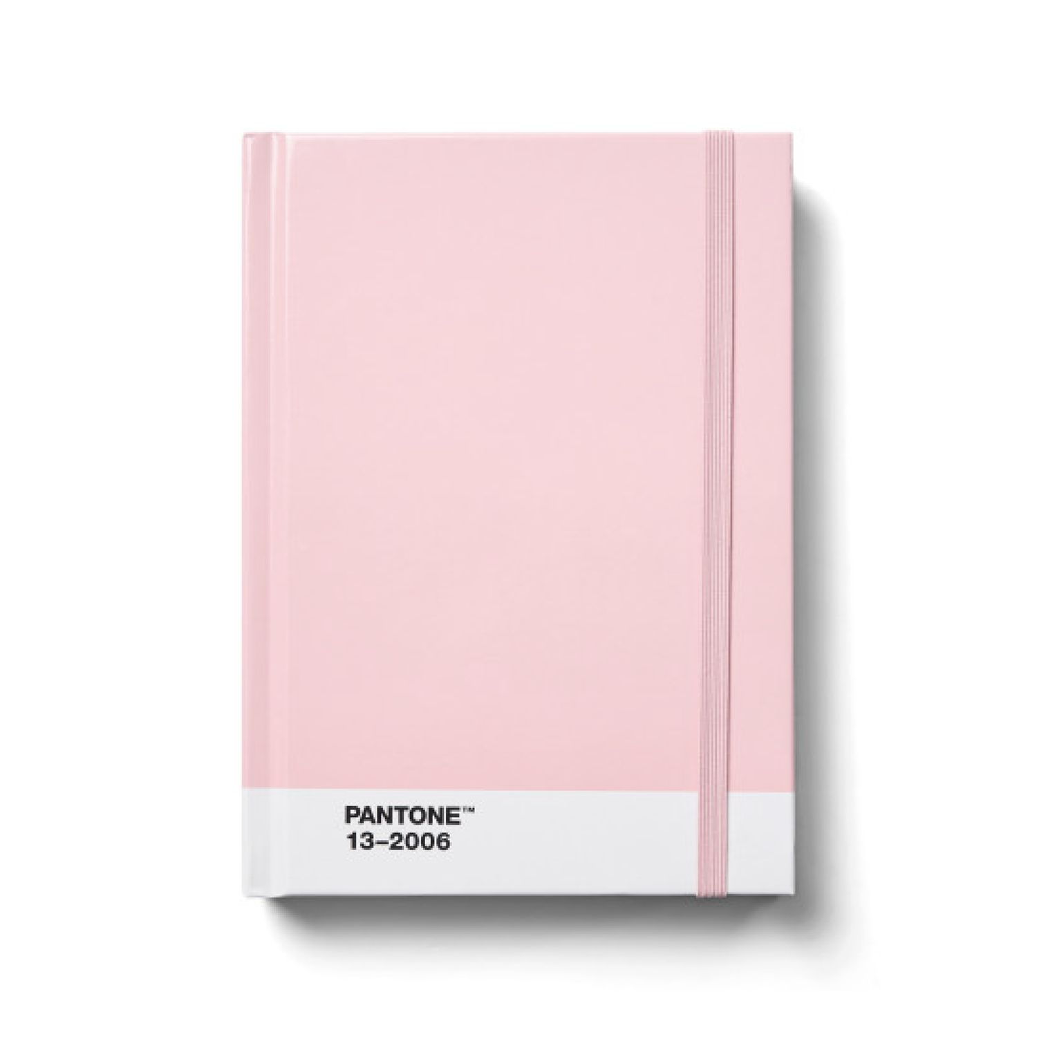 Light Pink Dotted Pantone Notebook