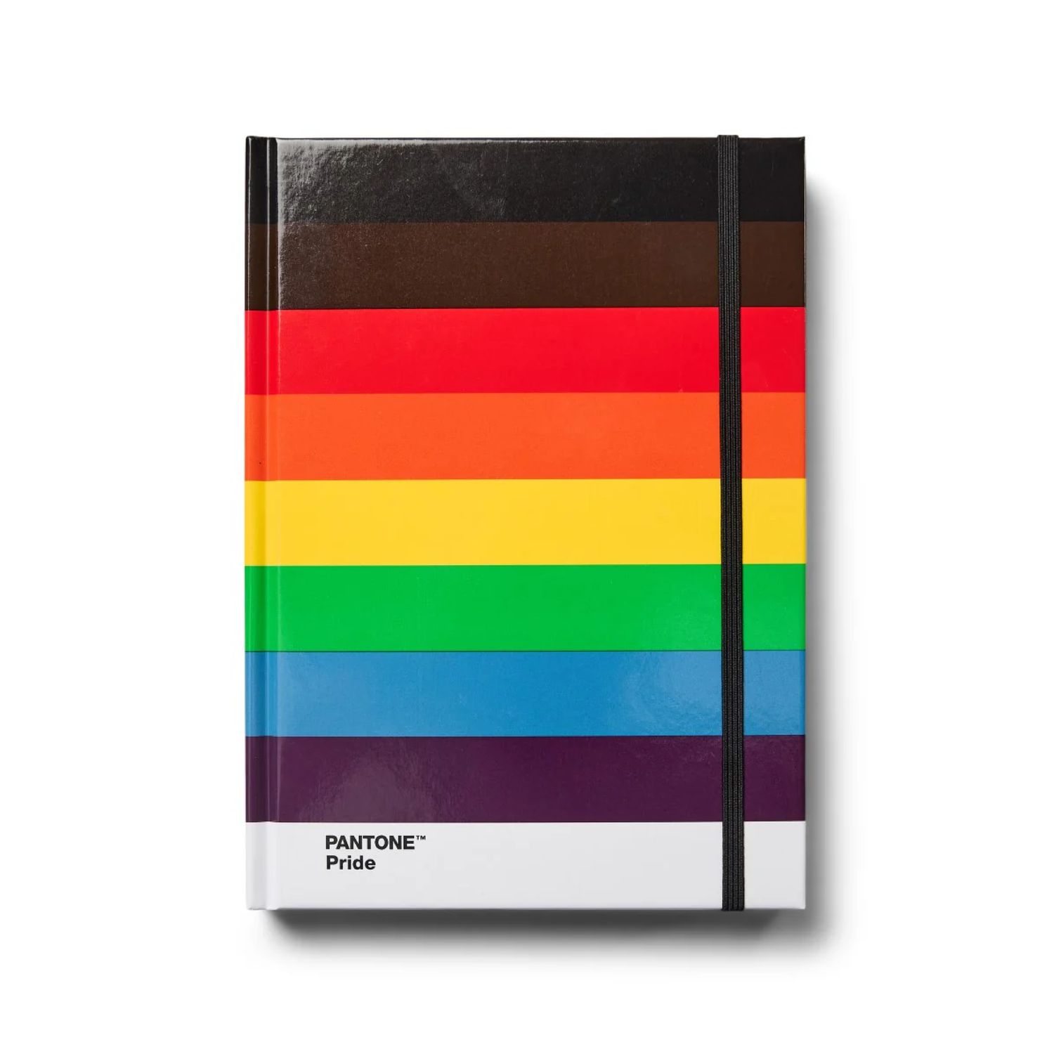 Pride Dotted Pantone Notebook