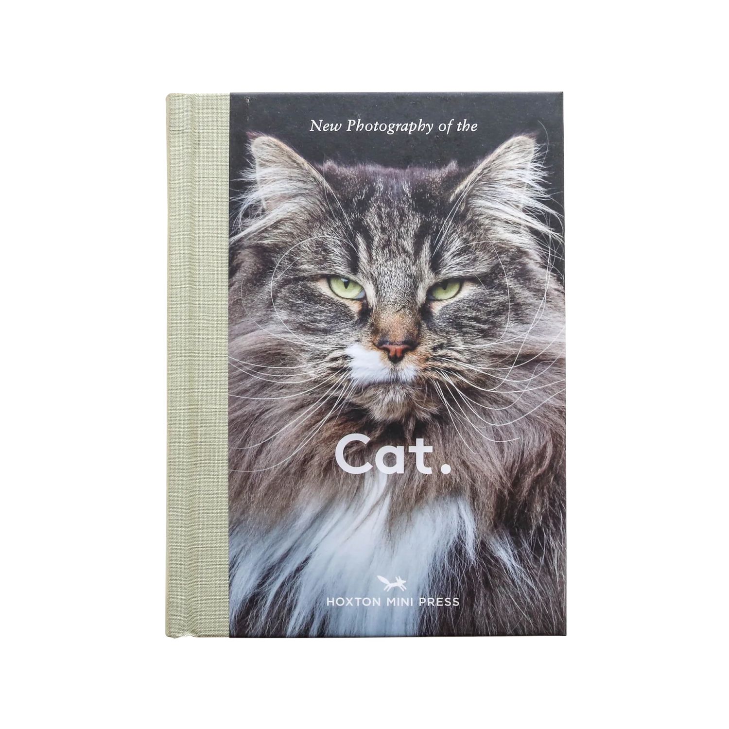New Photography of the Cat