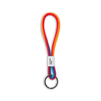 Pantone Keychain - Pride - Short