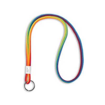 Pantone Keychain - Pride - Long