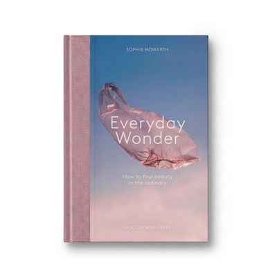 Everyday Wonder