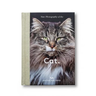 New Photography of the Cat