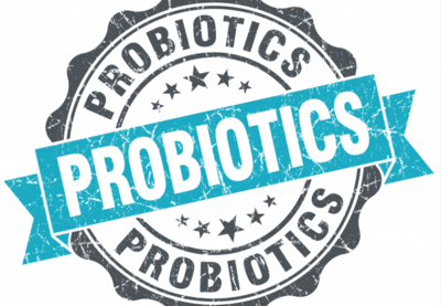 Пробиотики и ферменты для животных