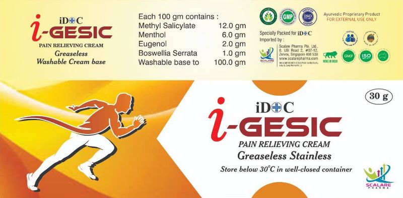 i-GESIC Pain Relieving Cream (30g)