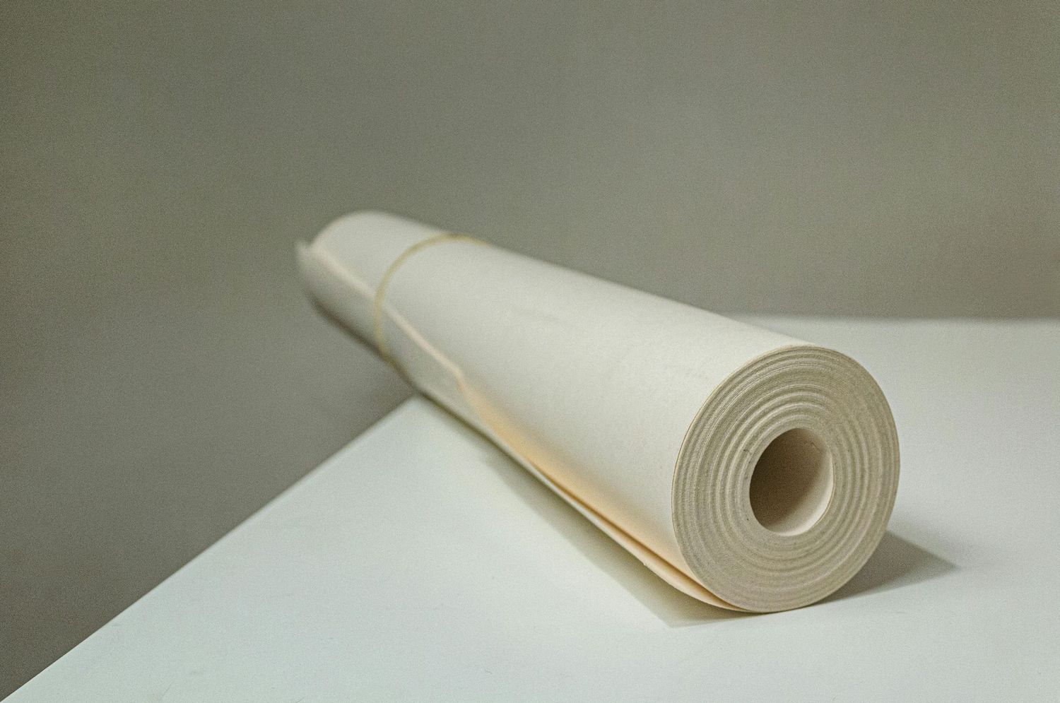 Paper Towels (Sample Product)