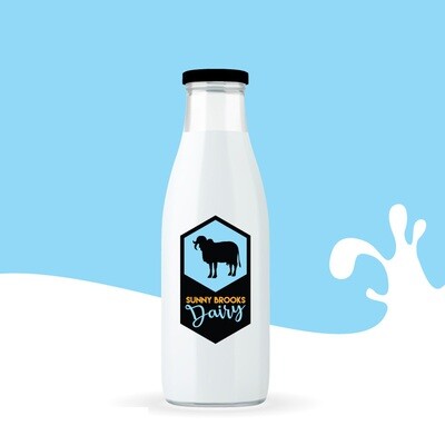 A2 Cow Milk