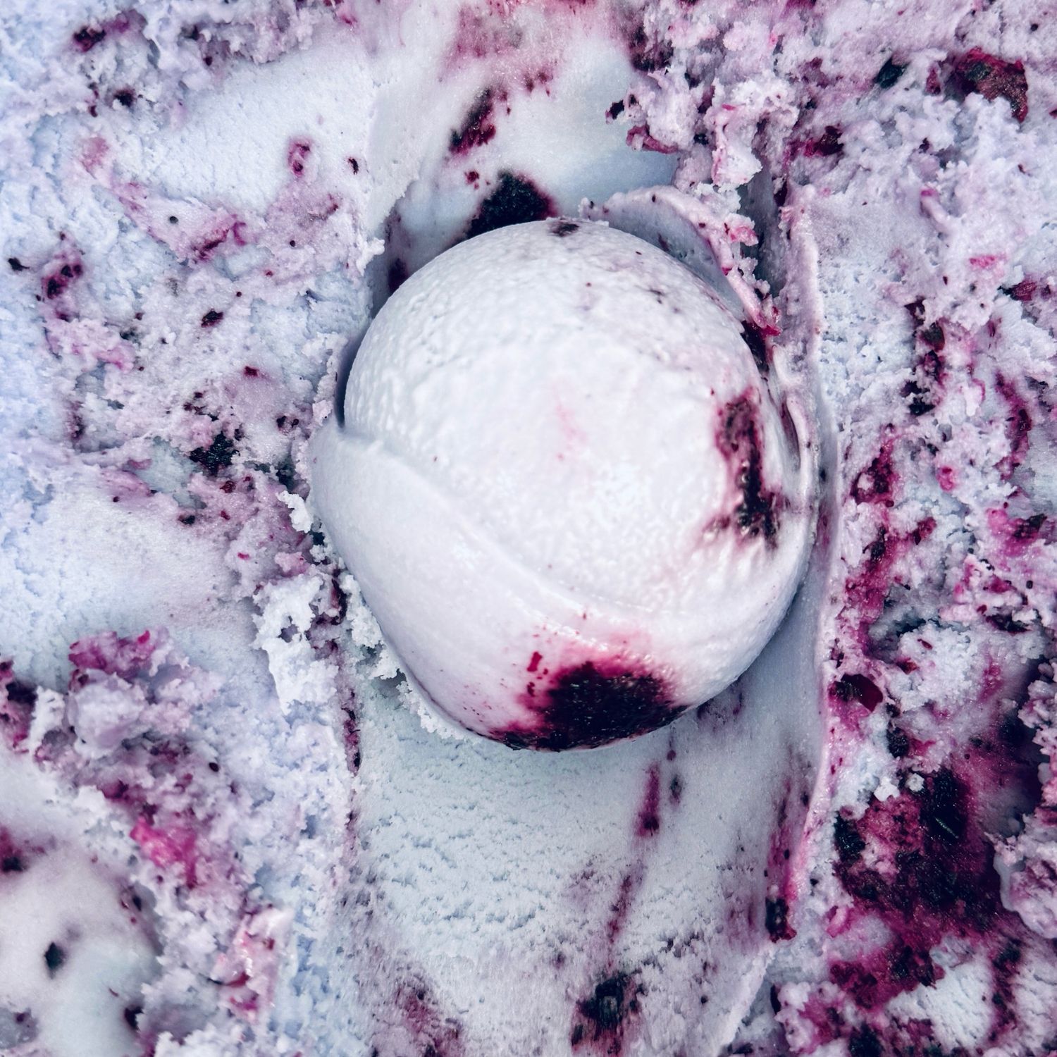 Lavanda Blueberry Pinta