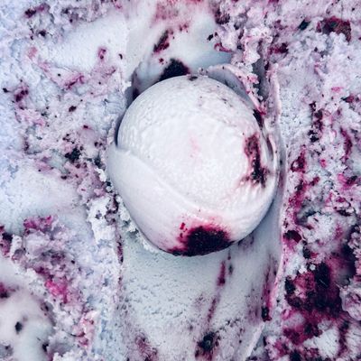 Lavanda Blueberry Pinta