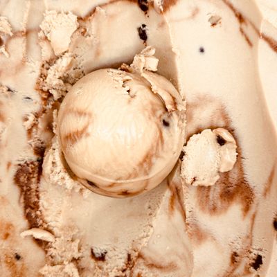 Super Sunflower Pinta