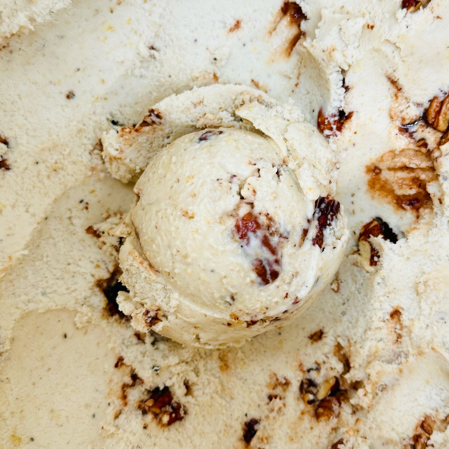 Guineo Praline Pinta