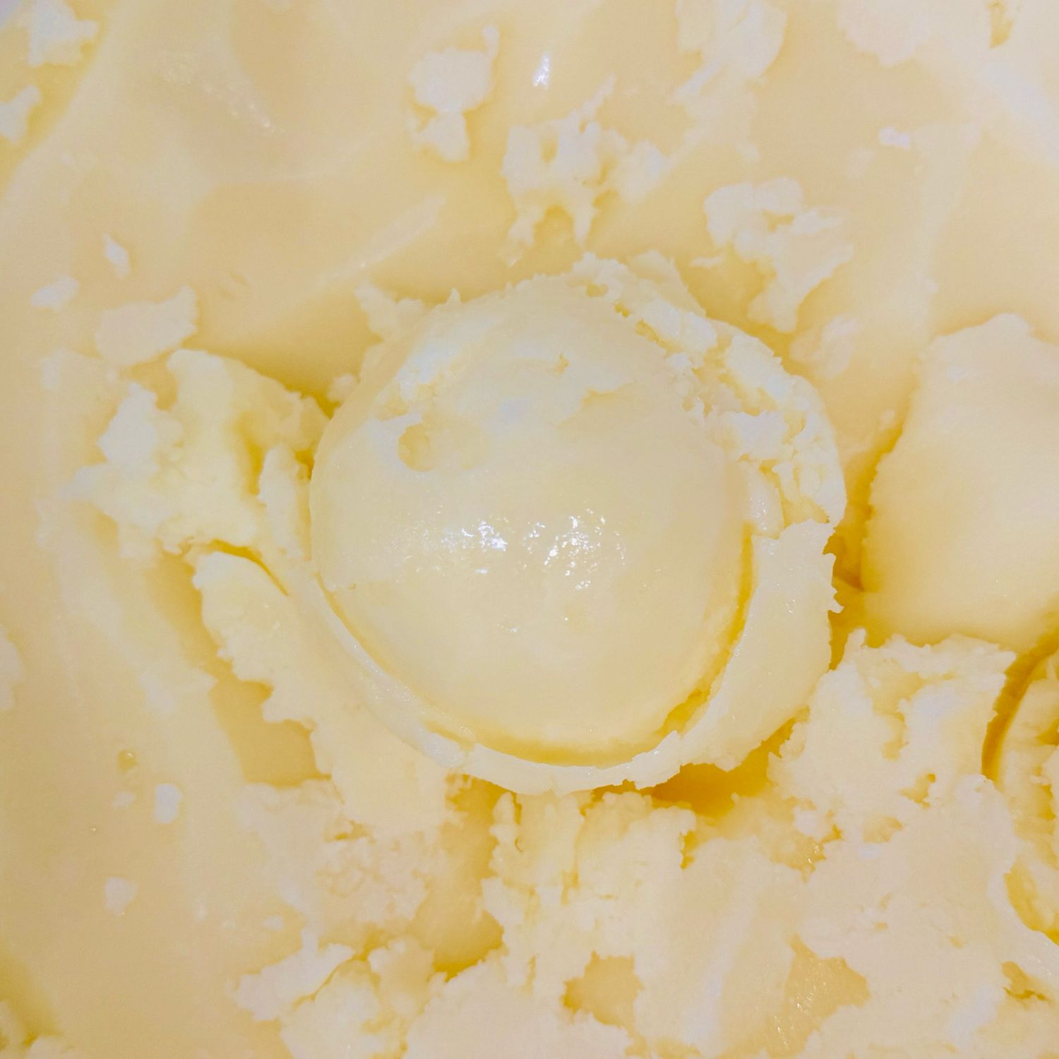 Avellana Pecosa  Pinta