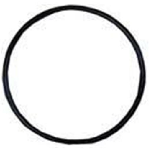 HAYWARD SUPER II PUMP PART - STRAINER COVER O-RING