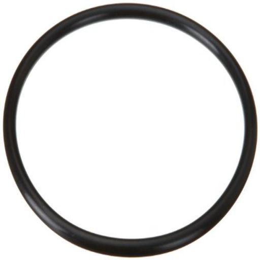 HAYWARD MAX FLO PUMP PART - COVER O-RING
