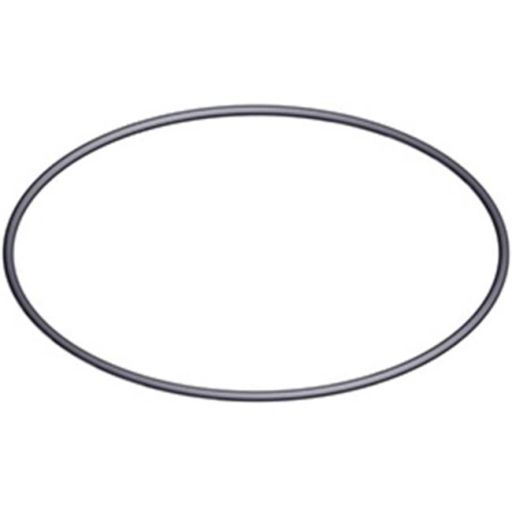 HAYWARD TOP MOUNT VALVE PART - COVER O RING 2''