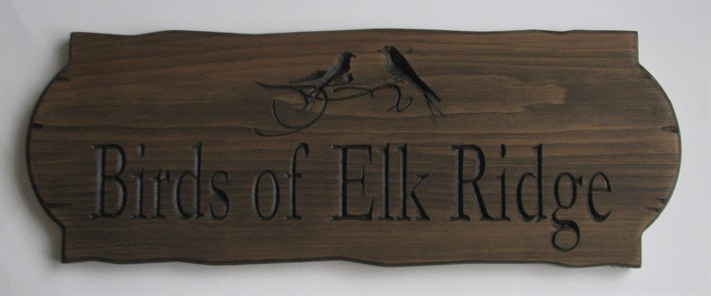 Personalized Rustic Stained Outdoor Wood Sign with Carved Birds