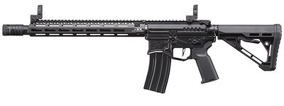 Zion Arms R15 MK2 BL-3 SSG Custom Build