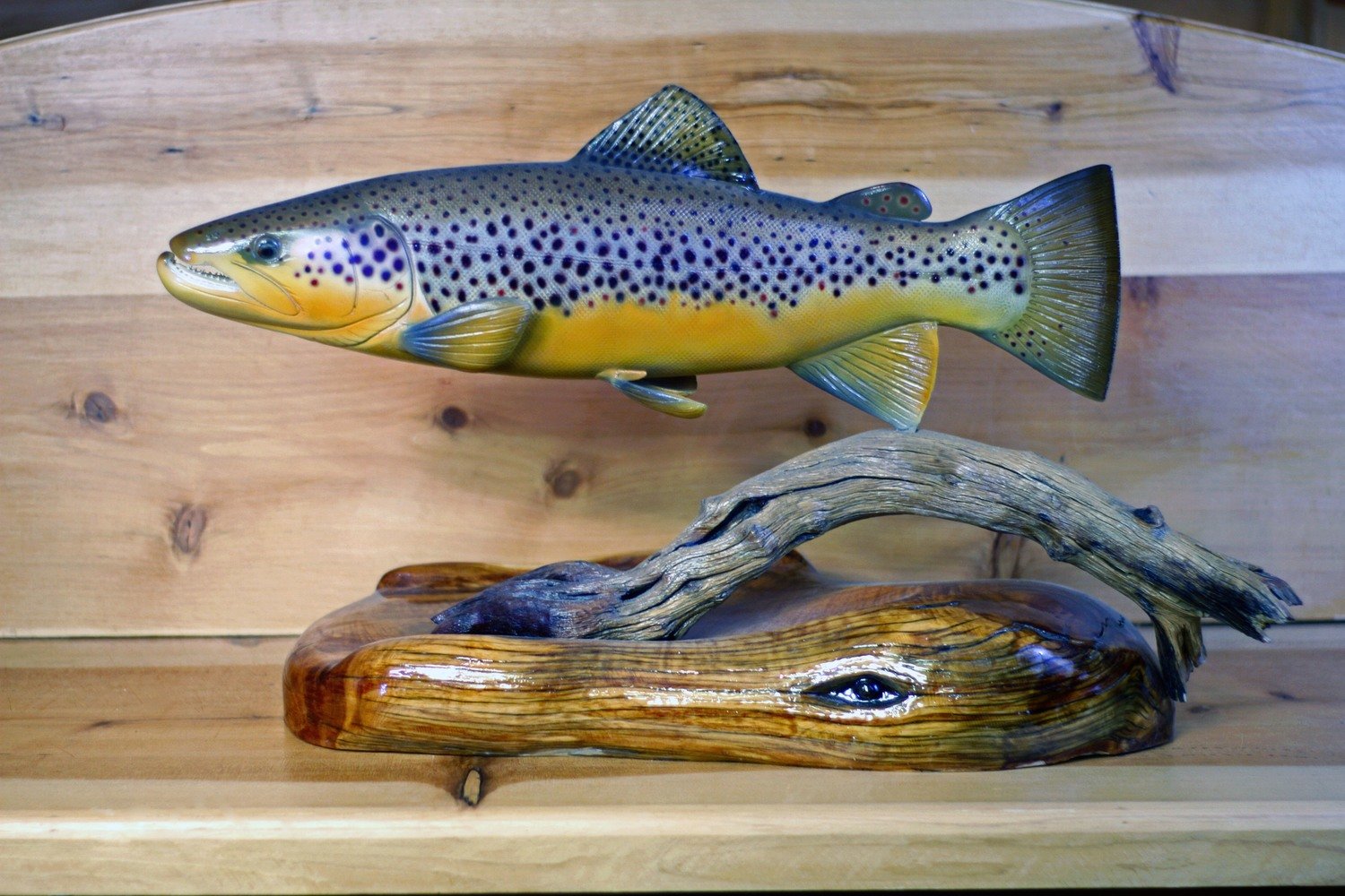 19&quot; Brown Trout