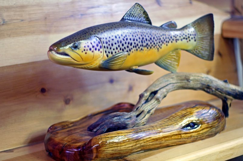 19" Brown Trout