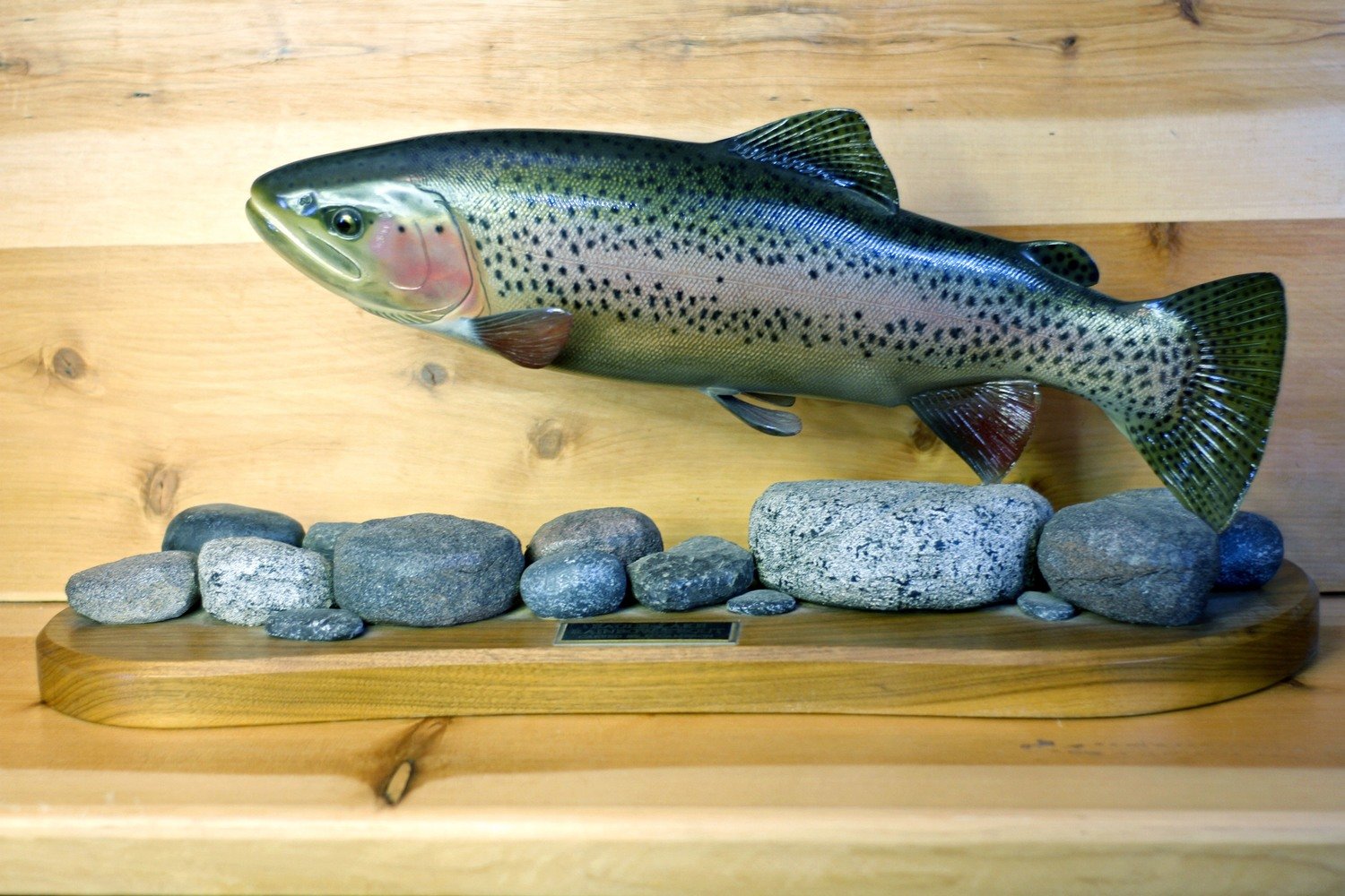 21&quot; Eagle Lake Rainbow Trout