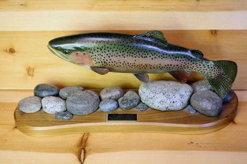 21" Eagle Lake Rainbow Trout