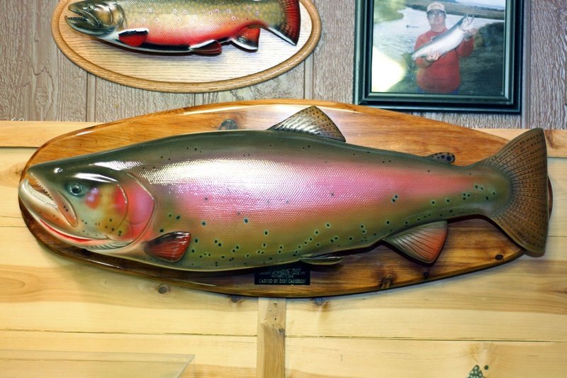 37&quot; Lahanton Cutthroat Trout