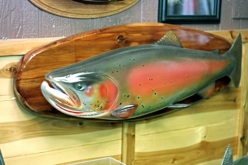 37" Lahanton Cutthroat Trout