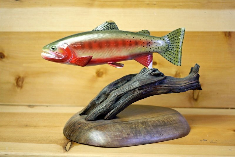 14&quot; Golden Trout