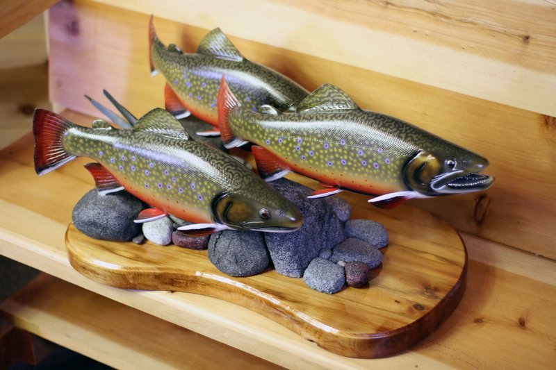 16.5" Brook Trout Trio